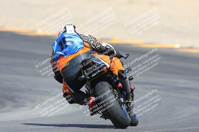 media/Mar-10-2024-SoCal Trackdays (Sun) [[6228d7c590]]/9-Turn 8 Backside (1150am)/